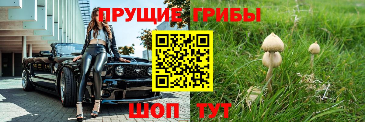 Тейково  Псилоцибиновые грибы GOLDEN TEACHER  Вход с VPN 